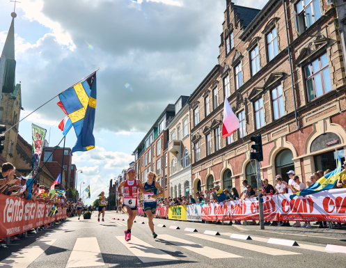 World Orienteering Championships: A show of full speed